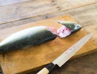 釣った魚をよりおいしくさばく“8か条”をお忘れなく。 | TSURI HACK[釣りハック]