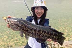 釣りガール
