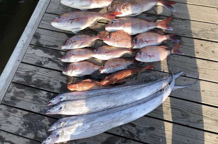 なぶらフィッシングでの釣果