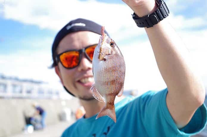 海釣り公園で釣ったチャリコ
