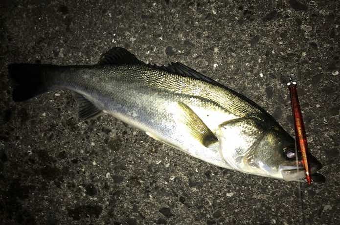この形状でなぜ釣れる？ジャクソンの名作ルアー『にょろにょろ