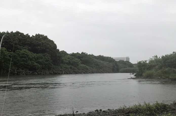 自然型河川　中洲