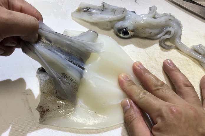 アオリイカ 捌き方