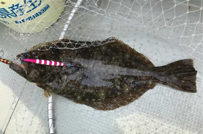 大隆丸の釣果