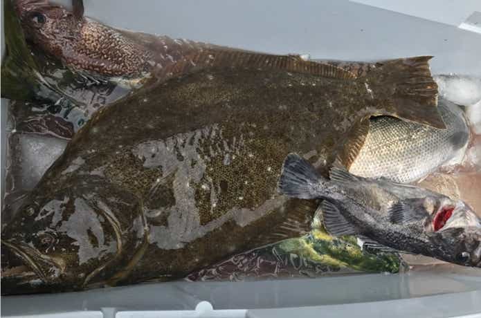 大隆丸での釣果