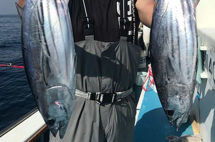 弘美丸でのカツオの釣果