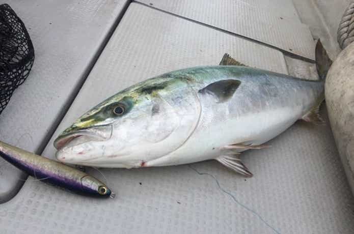シルバースノーでの釣果