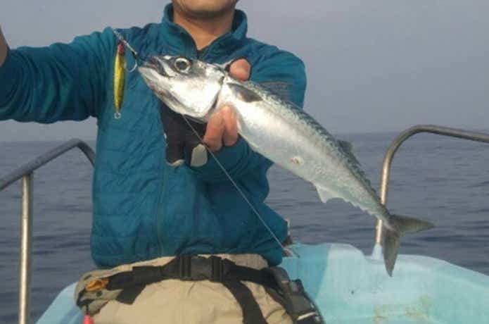 島きち丸でのLTの釣果