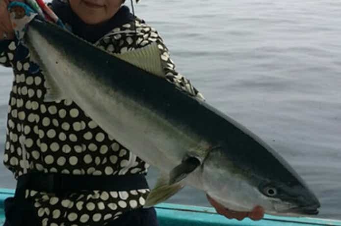 積丹NANAでのブリの釣果