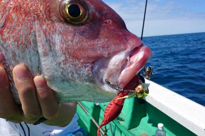 良幸丸でのテンヤの釣果