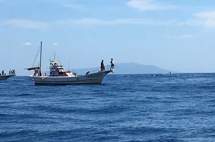 相模湾のマグロルアー船
