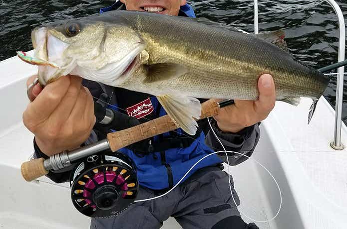 シークロでのシーバスフライフィッシングの釣果