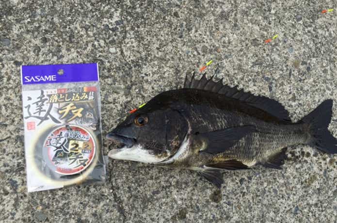 落とし込み釣り