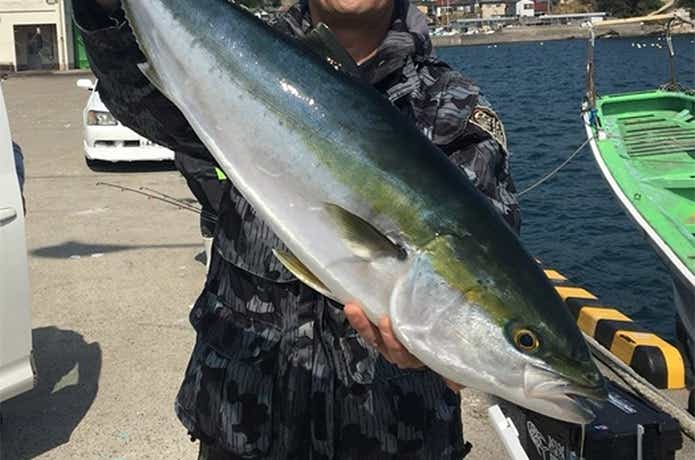 相洋丸でのワラサの釣果