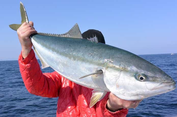 日本海丹後のジギング船！ブルーウォーター【京都府浅茂川港