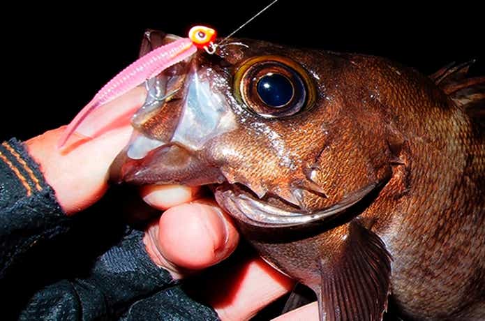 フィンガーレスグローブ