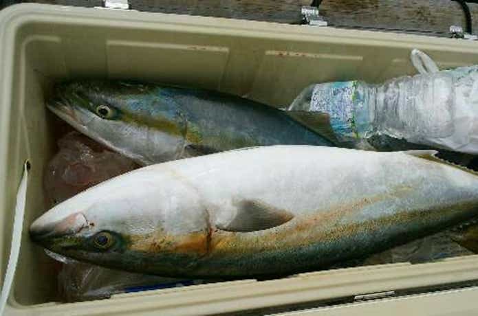 ジャーク忠丸の釣果
