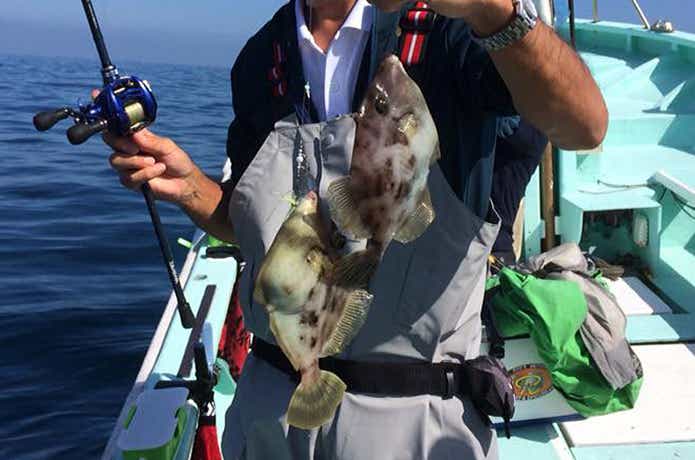 達丸でのカワハギの釣果