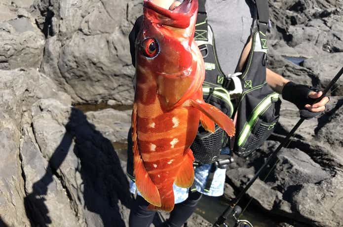 根魚一番 海太郎 スイミング根魚玉 | issei [一誠]