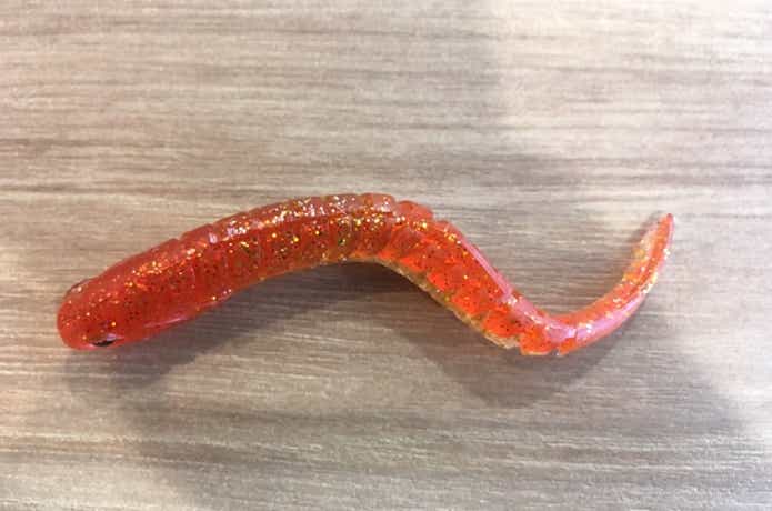 カタクチワーム