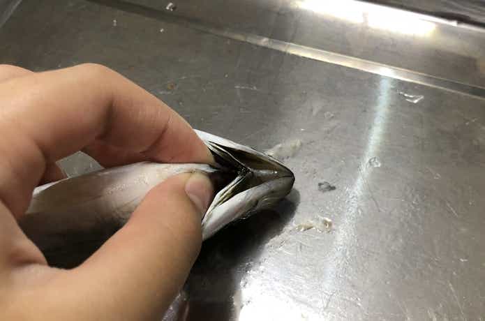 アジ　下処理　さばき方