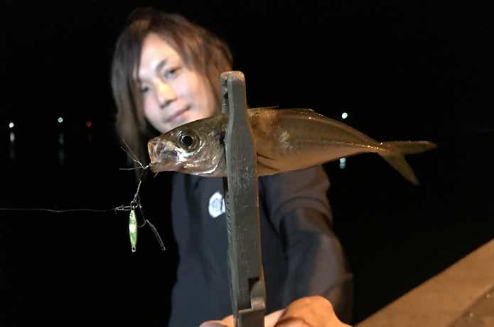 魚子メタル　アジング