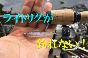 ライトリグとタックル