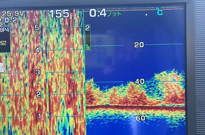 魚探の映像