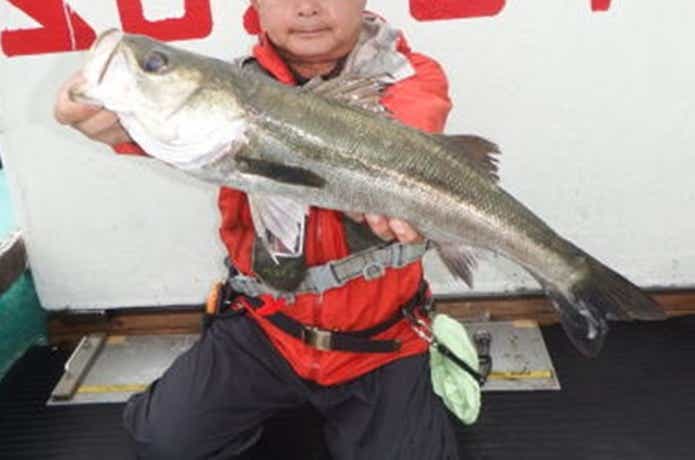 スズヤで釣れたシーバス