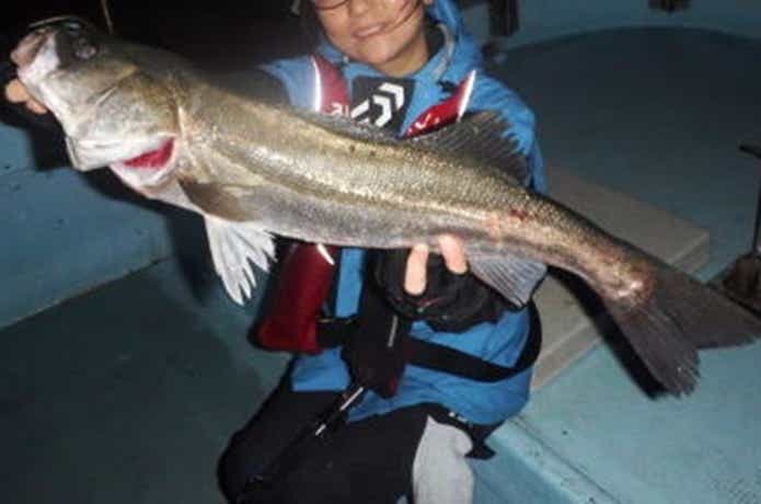 スズヤで釣れたシーバス