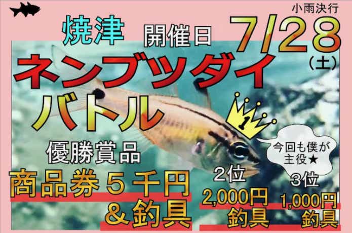 ネンブツダイバトル