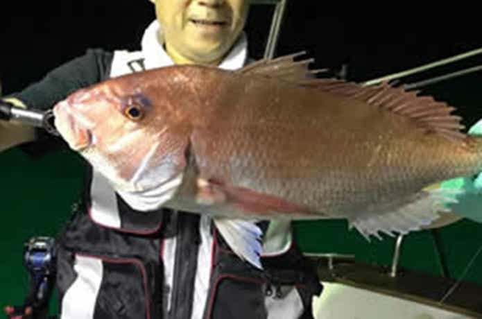 オーシャンブライトでのタイの釣果