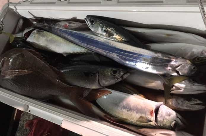 金栄丸での釣果