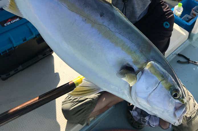 隆盛丸での青物ジギングの釣果