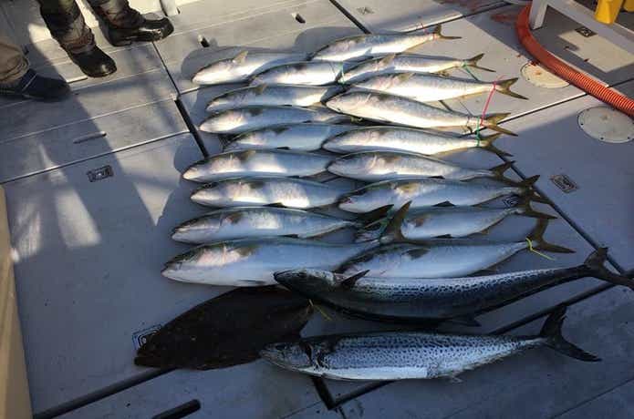 オーシャンズマロンでの釣果