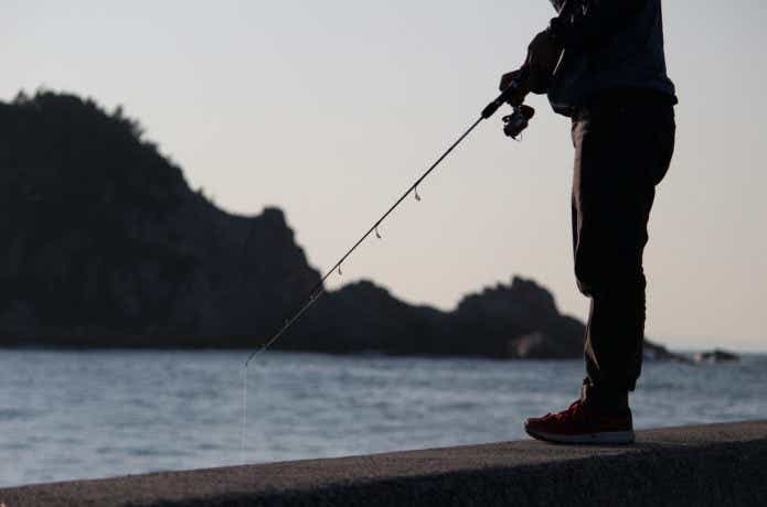 シーバスリーダーはどれがいい？