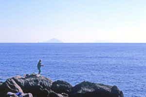 伊豆大島の釣り