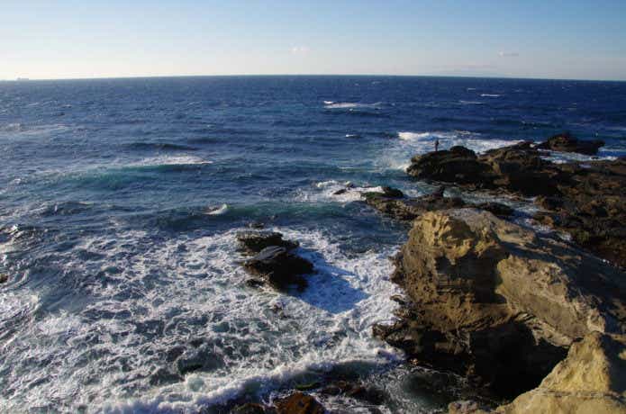 シーバス　リーダー　場所に合わせて