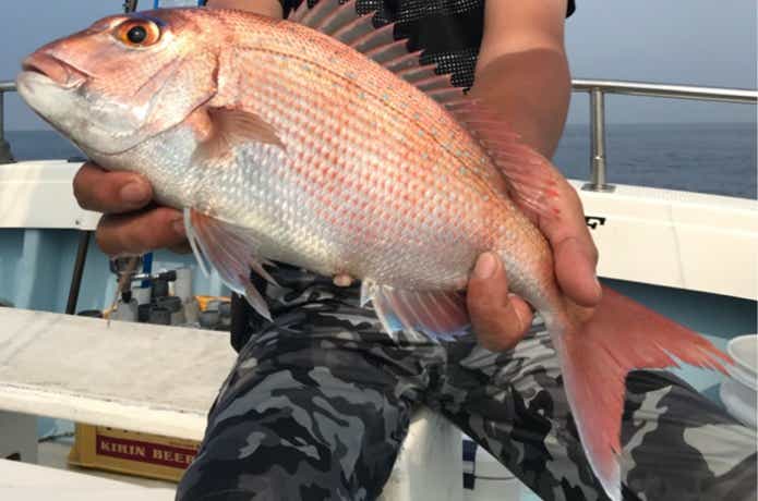 隆盛丸でのスーパーライトジギングでの釣果