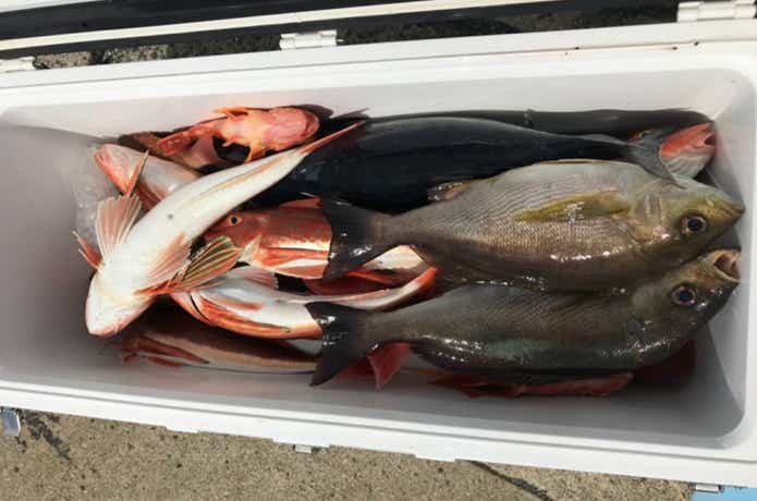 隆盛丸での釣果