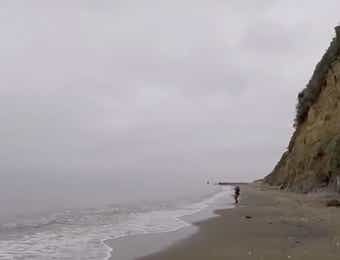 BONX