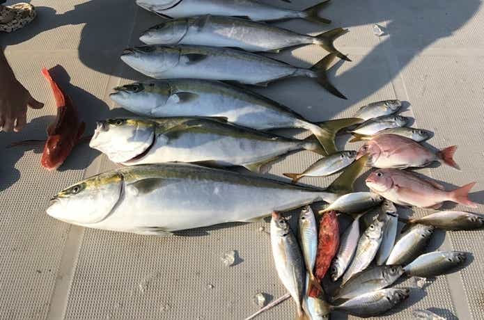 セブンシーズで大漁の釣果