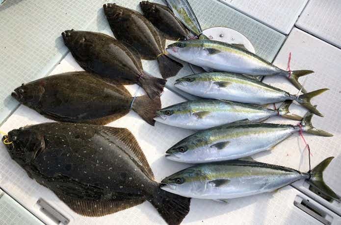 ふじしめ丸での釣果