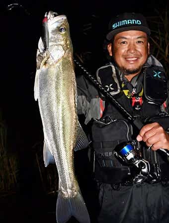 SHIMANO