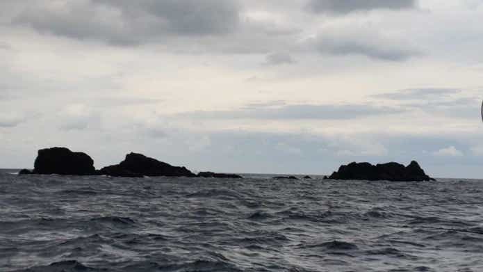DAIWA