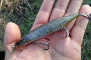 ワカペン90」イレギュラーにもじる小魚アクションを簡単演出！誰