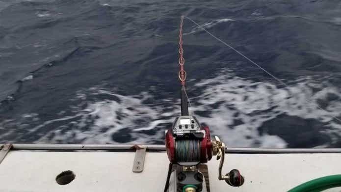 DAIWA