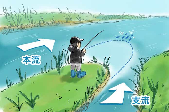SHIMANO