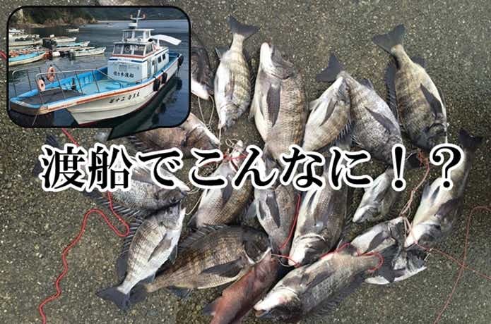 渡船の釣果