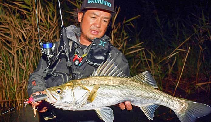 SHIMANO